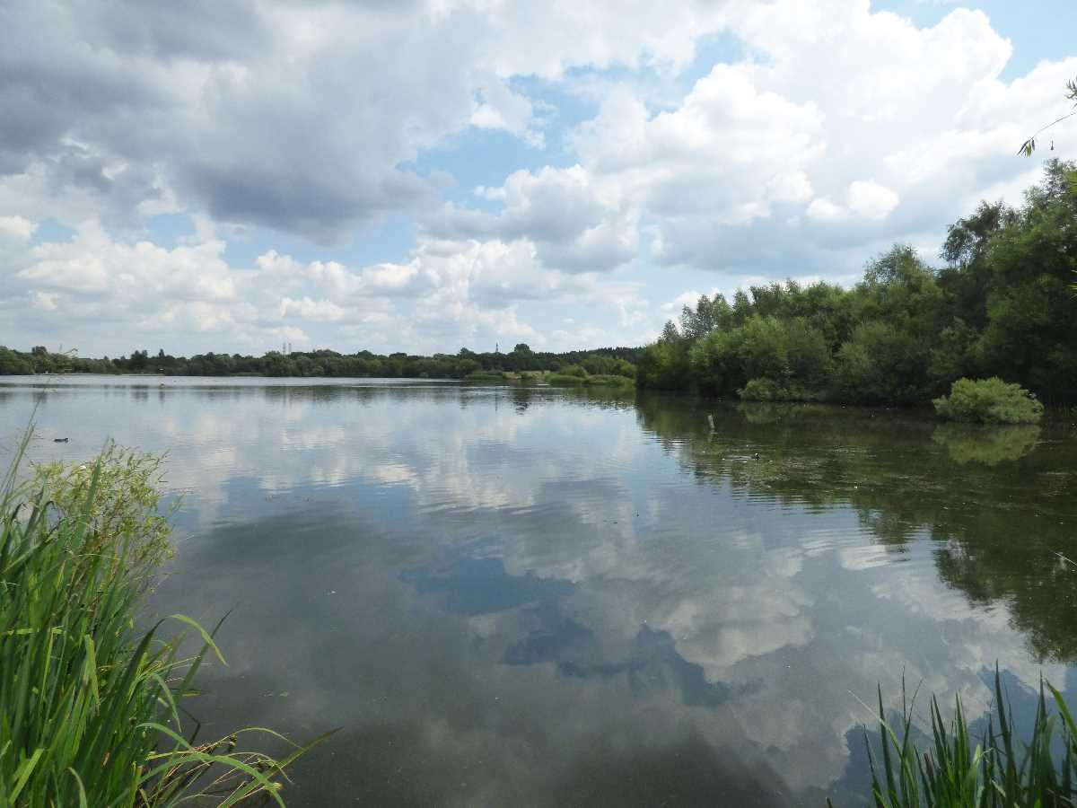 Swan Pool Sandwell Valley Country Park